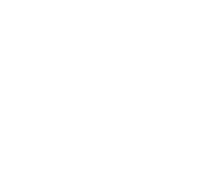 MS Chauffeur privé à Annecy